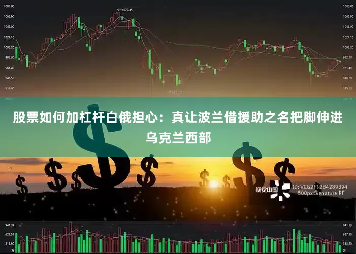 股票如何加杠杆白俄担心：真让波兰借援助之名把脚伸进乌克兰西部