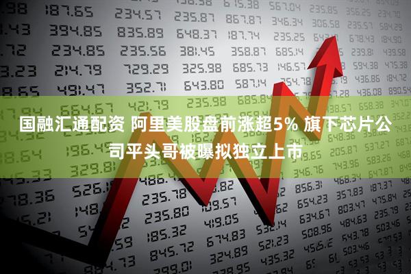 国融汇通配资 阿里美股盘前涨超5% 旗下芯片公司平头哥被曝拟独立上市